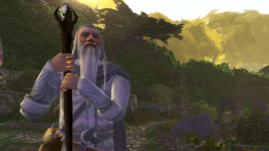 The Lord of the Rings Online 800 LOTRO Point EU Code [$ 10.06]