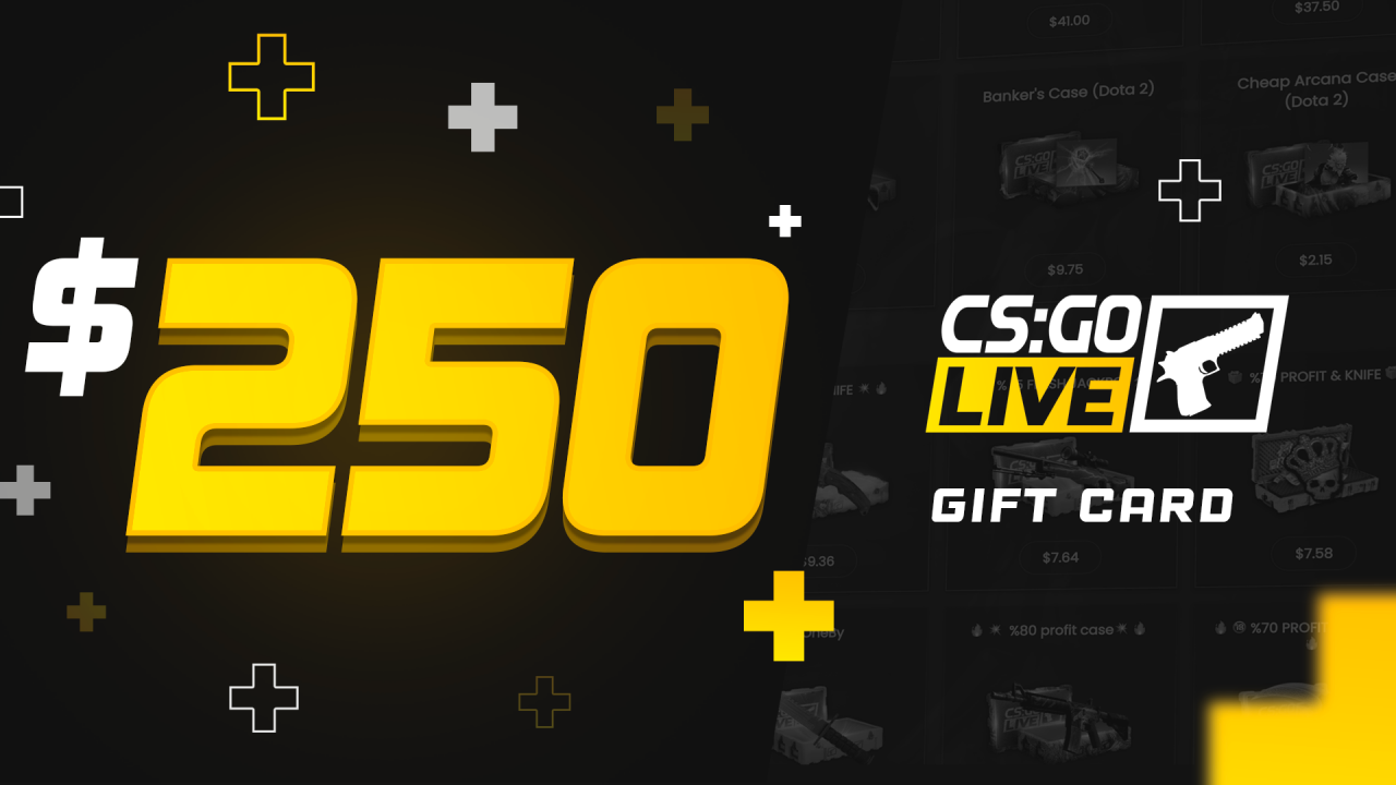 CSGOLive 250 USD Gift Card [$ 292.89]