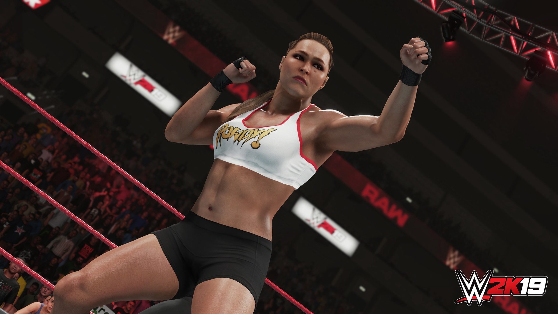 WWE 2K19 PlayStation 4 Account pixelpuffin.net Activation Link [$ 15.81]