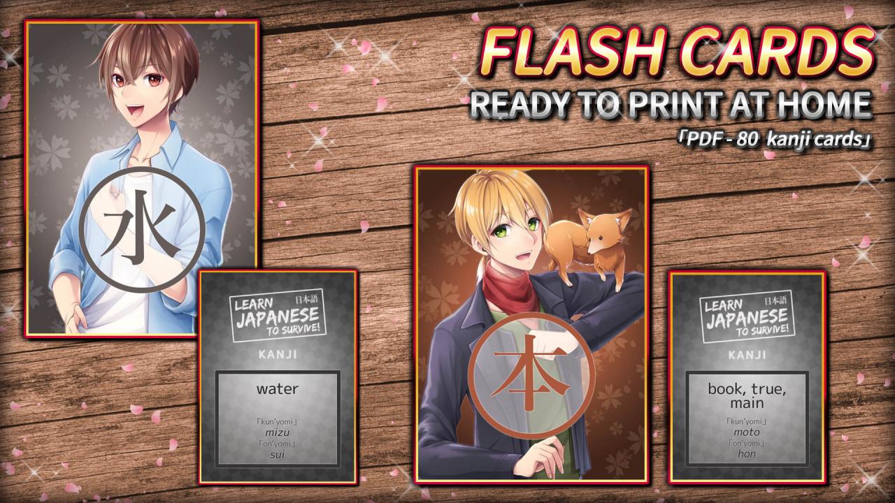 Learn Japanese To Survive! Kanji Combat - Flash Cards DLC Steam CD Key [$ 0.95]