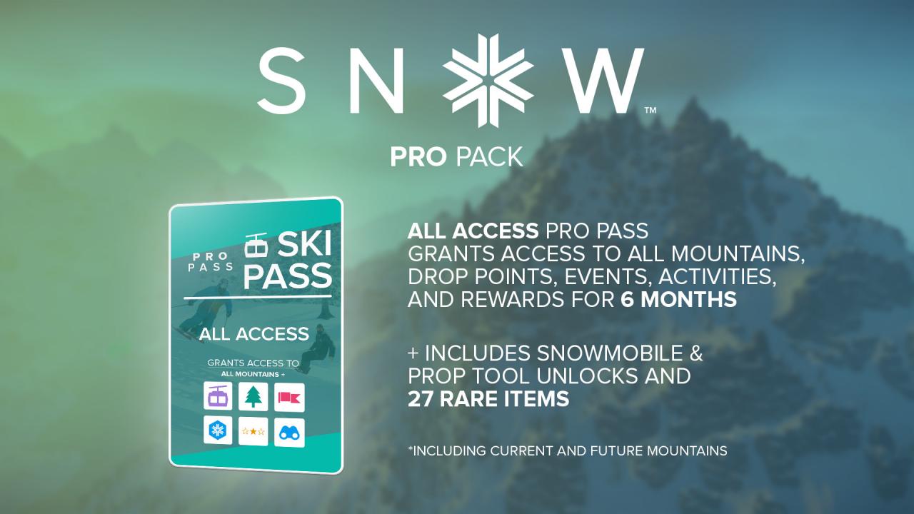 SNOW - Pro Pack DLC EU Steam CD Key [$ 0.53]