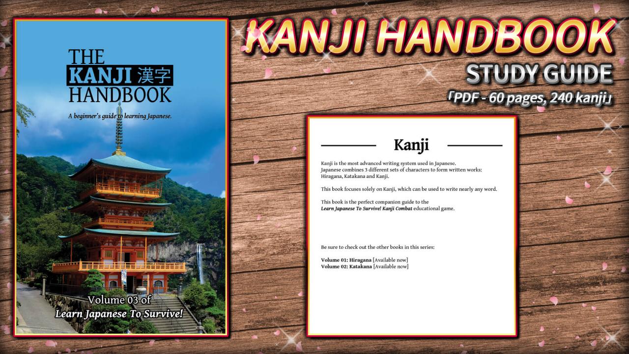 Learn Japanese To Survive! Kanji Combat - Study Guide DLC Steam CD Key [$ 1.76]