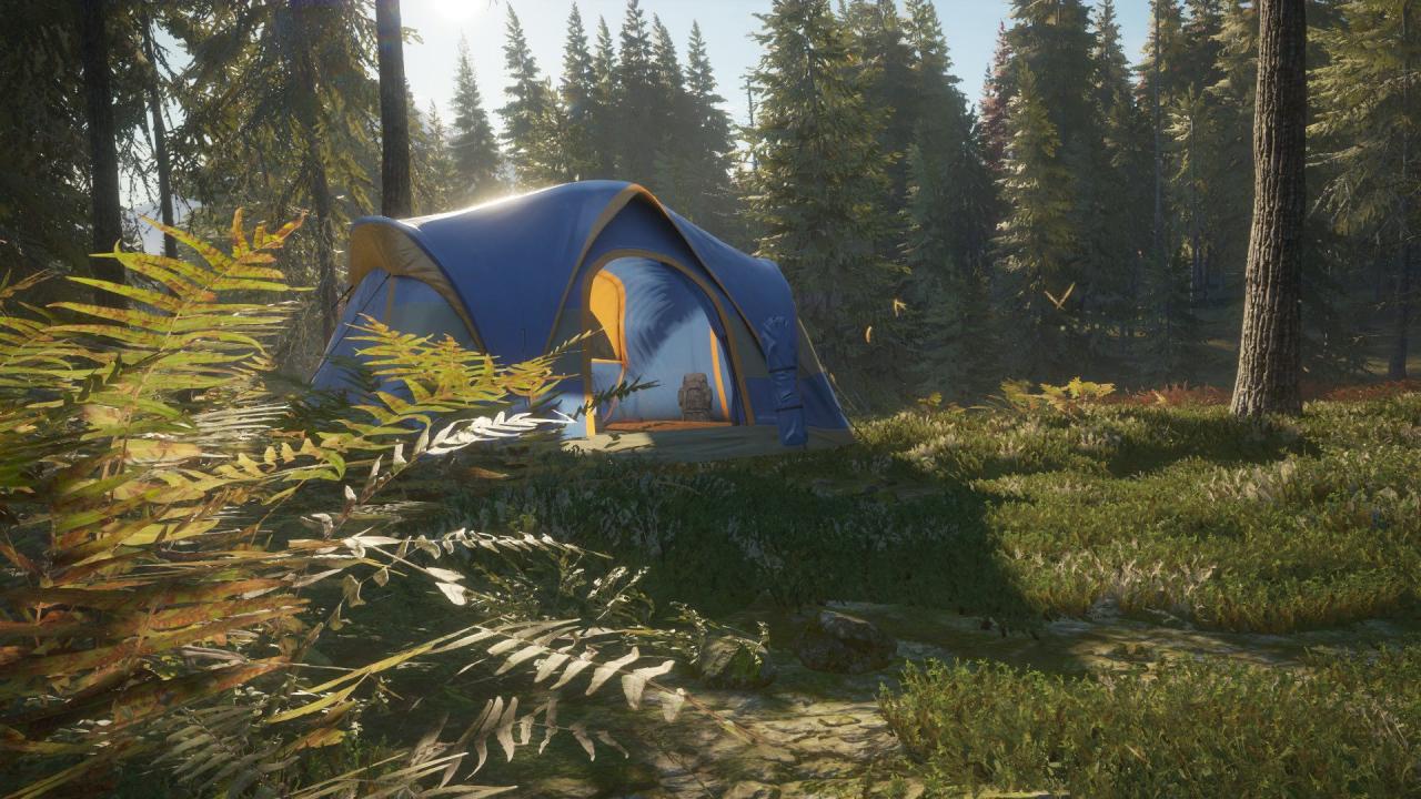 theHunter: Call of the Wild - Tents & Ground Blinds DLC Steam CD Key [$ 1.6]