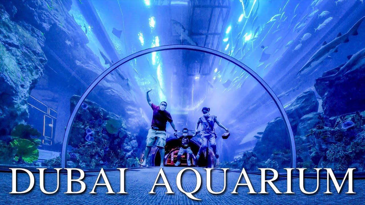 Dubai Aquarium & Underwater Zoo 50 AED Gift Card AE [$ 16.02]