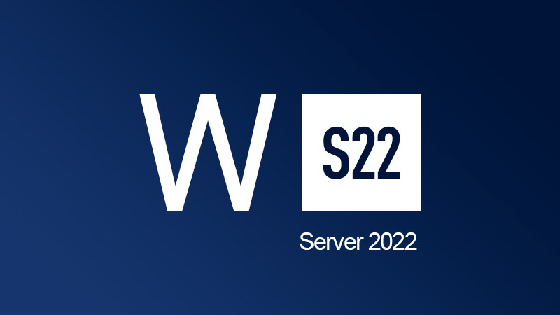 Windows Server 2022 CD Key [$ 44.06]