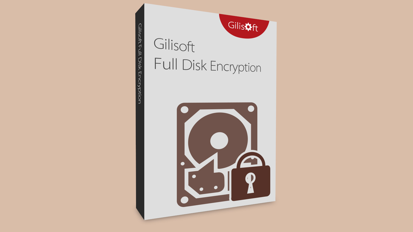 Gilisoft Full Disk Encryption CD Key [$ 19.72]