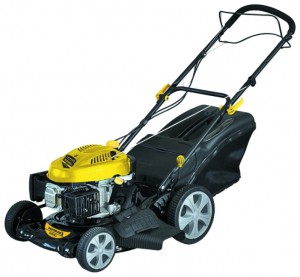 self-propelled lawn mower Champion LM4630 Photo, Characteristics, review