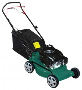 self-propelled lawn mower Warrior WR65142AT Photo, Characteristics, review