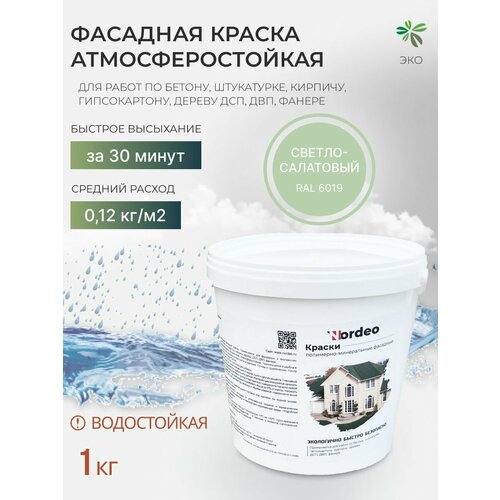 Краска фасадная Nordeo, цвет RAL 6019 - светло-салатовый, для стен, дерева, без запаха, 1 кг фото, описание