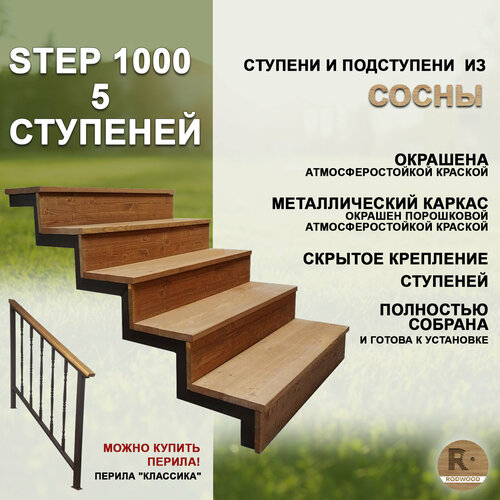 Лестница-крыльцо STEP 1000, 5 ступеней фото, описание