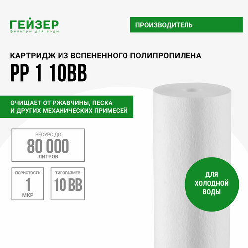 Гейзер Картридж PP 1 BB10