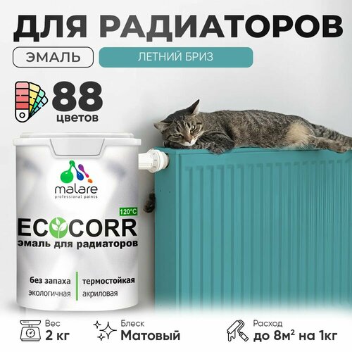 Эмаль Malare EcoCorr для труб и радиаторов отопления, для батарей отопления, быстросохнущая, без запаха, матовая, летний бриз, 2 кг фото, описание