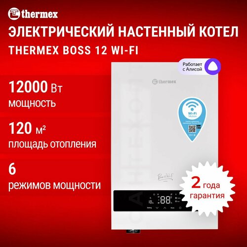 Электрический настенный котел THERMEX Boss 12 Wi-Fi (White) фото, описание