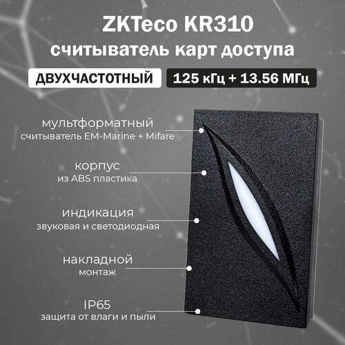 ZKTeco KR310 - уличный мультформатный считыватель карт доступа EM-Marine (125 кГц) и Mifare (13,56 МГц) фото, описание