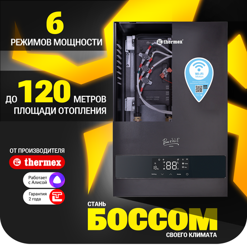 Электрический настенный котел THERMEX Boss 12 Wi-Fi (Black) фото, описание