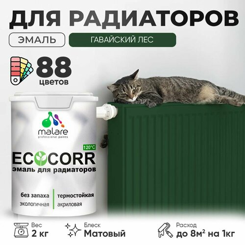 Эмаль Malare EcoCorr для труб и радиаторов отопления, для батарей отопления, быстросохнущая, без запаха, матовая, гавайский лес, 2 кг. фото, описание