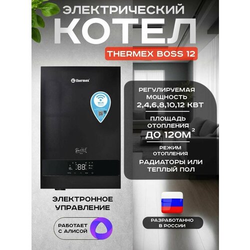 Котел электрический THERMEX Boss 12 Wi-Fi (Черный), дистанционное управление через Wi-FI, 6 вариантов мощности фото, описание