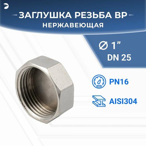 Заглушка В/Р 6-ти гранная нержавеющая, AISI304 DN25 (1