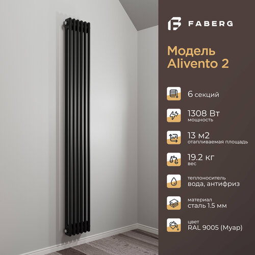 Радиатор отопления стальной трубчатый Faberg Extra 2, высота 1800мм, 6 секций, RAL9005 фото, описание