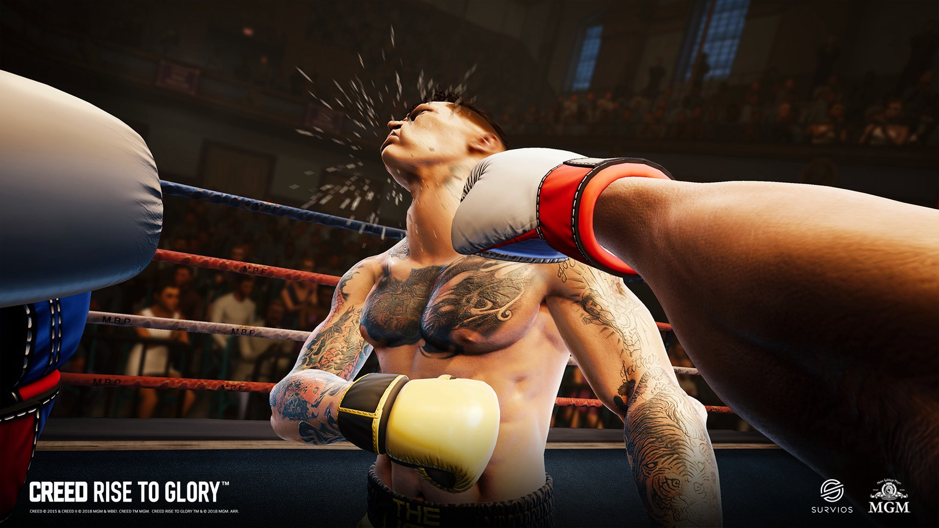 Creed: Rise to Glory Steam CD Key [$ 10.71]