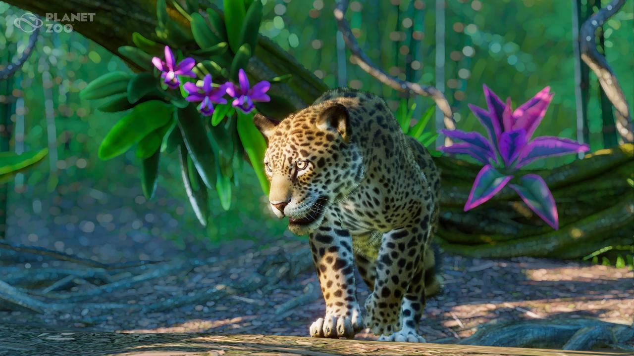 Planet Zoo - South America Pack DLC Steam Altergift [$ 12.5]