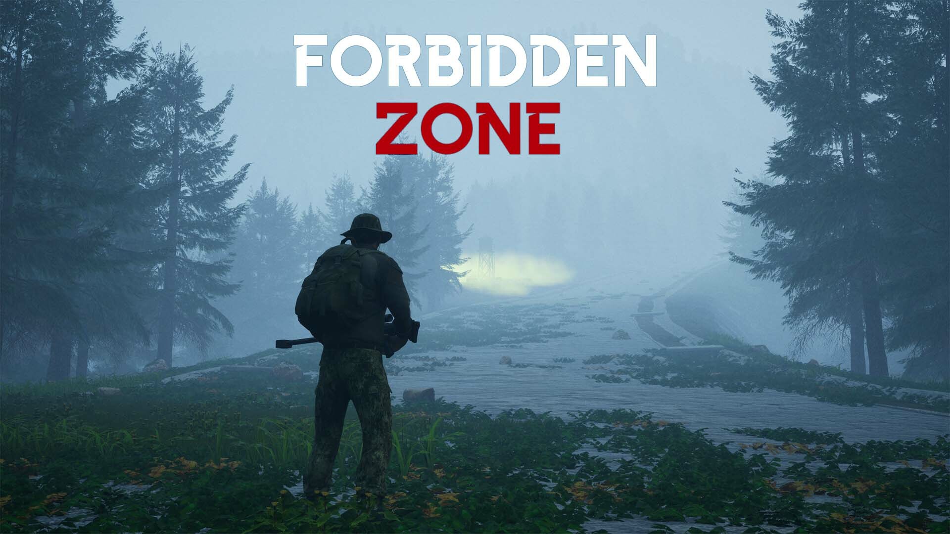Forbidden zone Steam CD Key [$ 2.44]