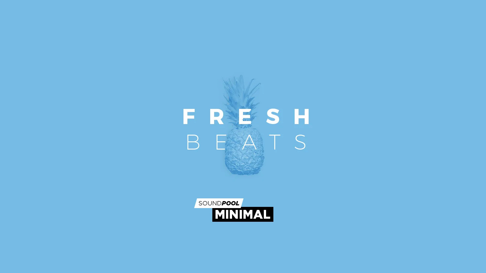 MAGIX Soundpool Fresh Beats ProducerPlanet CD Key [$ 5.65]