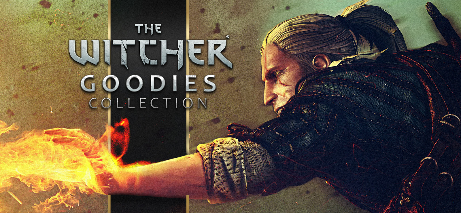 The Witcher - Goodies Collection GOG CD Key [$ 2.54]