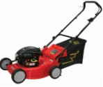 self-propelled lawn mower DDE WYZ18-WD65 rear-wheel drive petrol review bestseller