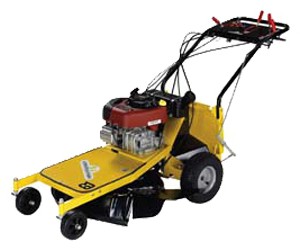 self-propelled lawn mower Eurosystems Professionale 63 Photo, Characteristics, review