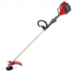 trimmer EFCO DS 3800 S Photo, Characteristics, review