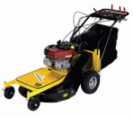 self-propelled lawn mower Eurosystems Professionale 67 Electric starter rear-wheel drive review bestseller