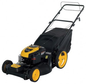 self-propelled lawn mower PARTNER 6553 D Photo, Characteristics, review
