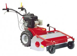 self-propelled lawn mower Meccanica Benassi TR 80 Photo, Characteristics, review